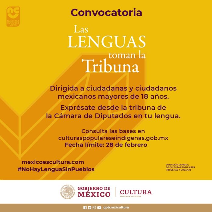 Se Convoca a Mujeres y Hombres Hablantes de Lenguas Indígenas a Participar en “Las Lenguas Toman la Tribuna” - AlternativaTlx