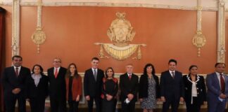 Crítica Alternativa • Desorden en el Gobierno