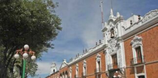 Crítica Alternativa • Predicciones 2023