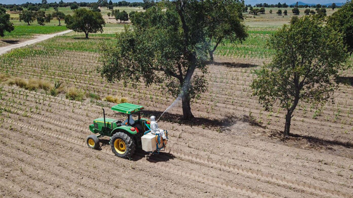 El Campo y el Desarrollo Rural son Prioridad para el Gobierno Municipal de Huamantla - AlternativaTlx