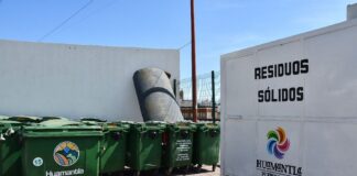 Invita Ayuntamiento de Huamantla a Reciclar los Árboles Naturales de Navidad - AlternativaTlx