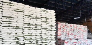 Invitan Autoridades a Agricultores de Huamantla a Registrarse en el Programa Paisa 2023 - AlternativaTlx