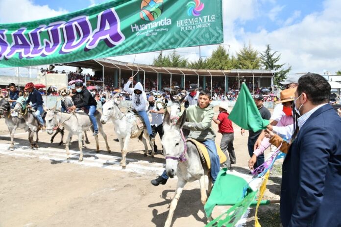 Promueve Ayuntamiento de Huamantla Acciones a Favor del Sector Agropecuario - AlternativaTlx