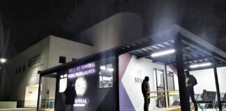 Fallece en Hospital Adulta Mayor Atropellada - AlternativaTlx