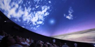 Universum, Museo de las Ciencias de la UNAM Presenta la Exposición Temporal: Color, El Conocimiento de lo Invisible - AlternativaTlx