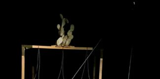 Últimas Funciones de Abrir la Patria en el Teatro La Capilla de Coyoacán - AlternativaTlx