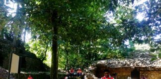 Mediante el Programa de Mejoramiento de Zonas Arqueológicas se Abrirá una Nueva Sección de Palenque - AlternativaTlx
