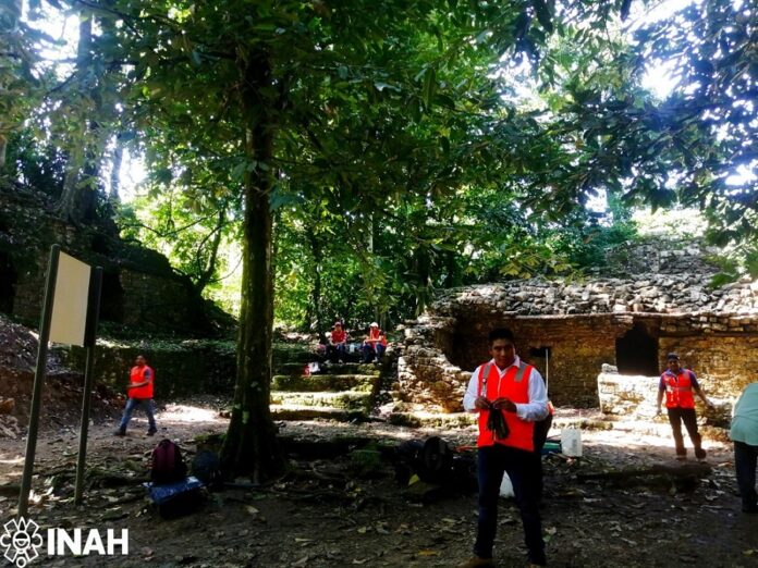 Mediante el Programa de Mejoramiento de Zonas Arqueológicas se Abrirá una Nueva Sección de Palenque - AlternativaTlx