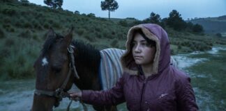 Cineastas del CCC Participan en la Berlinale 2023 - AlternativaTlx