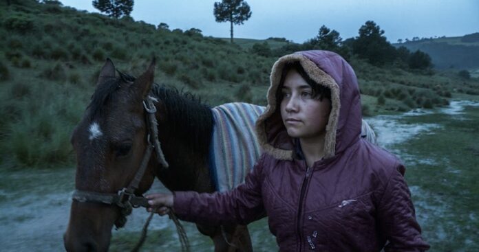 Cineastas del CCC Participan en la Berlinale 2023 - AlternativaTlx