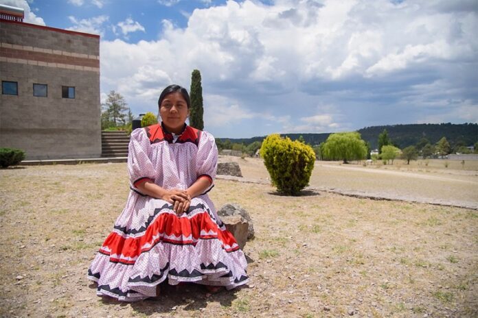 Promotoras Culturales y Artesanas Invitan a Reflexionar sobre la Salvaguardia y los Derechos de la Lengua Materna en Conversatorio - AlternativaTlx