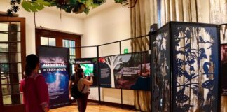 "Súbete al Tren" Exhibe en el Complejo Cultural Los Pinos Notables Piezas Arqueológicas Recuperadas en la Construcción del Tren Maya - AlternativaTlx