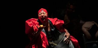 La Compañía Teatro Lunar Motivar la Reflexión Social a Través del Arte en Calle - AlternativaTlx