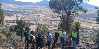 Autoridades Combaten Incendio Forestal en Tlaxco - AlternativaTlx