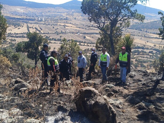 Autoridades Combaten Incendio Forestal en Tlaxco - AlternativaTlx