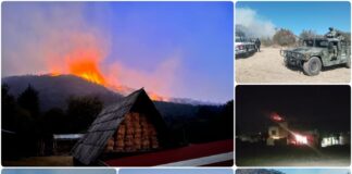 Reinician en Tlaxco Combate a Incendio Forestal - AlternativaTlx