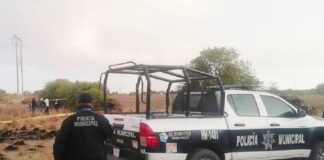 Atiende Seguridad Pública de Huamantla Reporte de Osamenta en Terrenos de Labor - AlternativaTlx