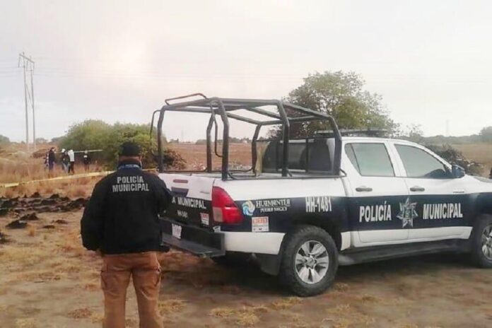 Atiende Seguridad Pública de Huamantla Reporte de Osamenta en Terrenos de Labor - AlternativaTlx