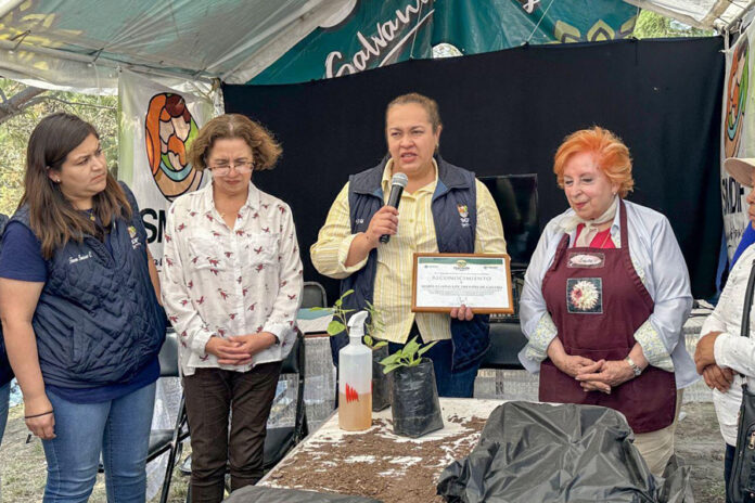 Impulsa SMDIF Huamantla Proyectos de Desarrollo Económico en el Municipio - AlternativaTlx