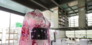 Comienzan las Actividades de Arte y Cultura en “Japón en la Vasconcelos” - AlternativaTlx