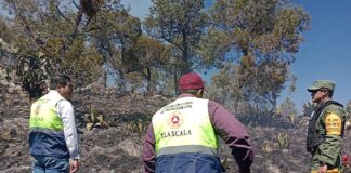 Pide CEPC Prevenir Incendios ante Temporada de Estiaje - AlternativaTlx