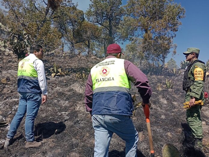 Pide CEPC Prevenir Incendios ante Temporada de Estiaje - AlternativaTlx