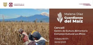Con la Exposición “Guardianes del Maíz” se Rinde un Homenaje a Quienes Preservan el Cultivo de este Cereal - AlternativaTlx