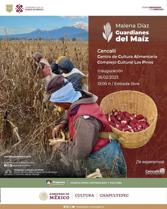 Con la Exposición “Guardianes del Maíz” se Rinde un Homenaje a Quienes Preservan el Cultivo de este Cereal - AlternativaTlx