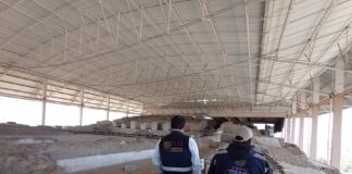 Reporta CEPC Saldo Blanco en Operativo por Equinoccio de Primavera - AlternativaTlx