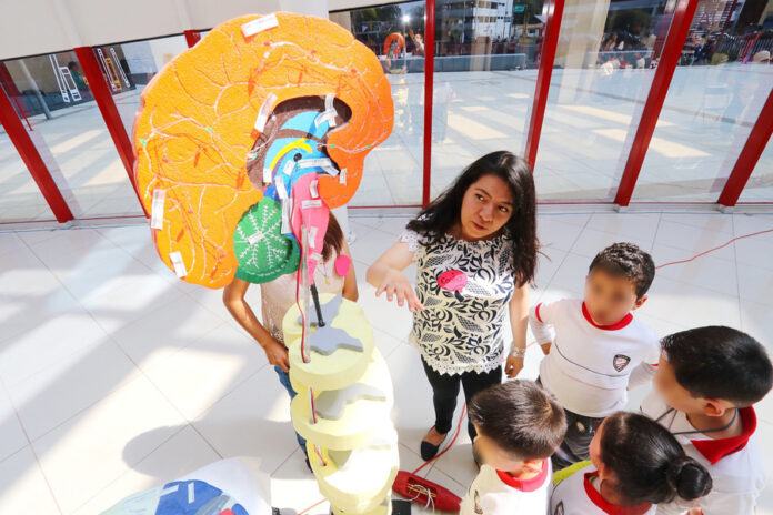 Socializa UATx Saberes de las Neurociencias - AlternativaTlx