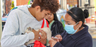 Últimos Días de Vacunación Antirrábica Canina y Felina en el Parque Juárez y Centro de Salud Urbano de Huamantla - AlternativaTlx