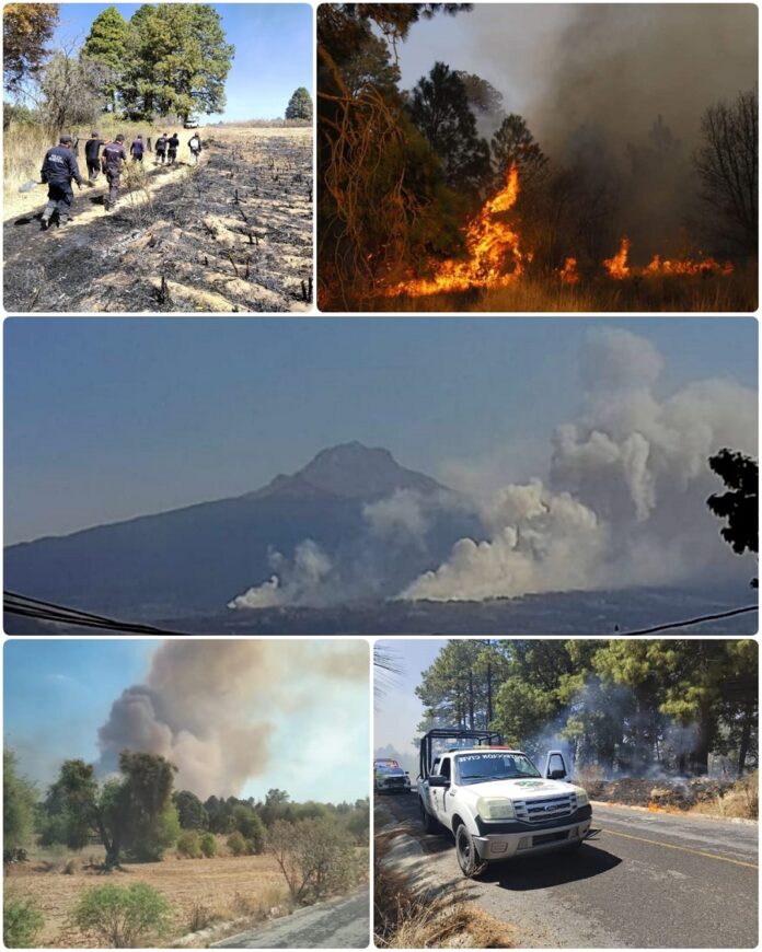 Activo aún Incendio en La Malinche - AlternativaTlx