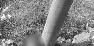 Fallece Hombre "Castigado" en San Pablo del Monte - AlternativaTlx