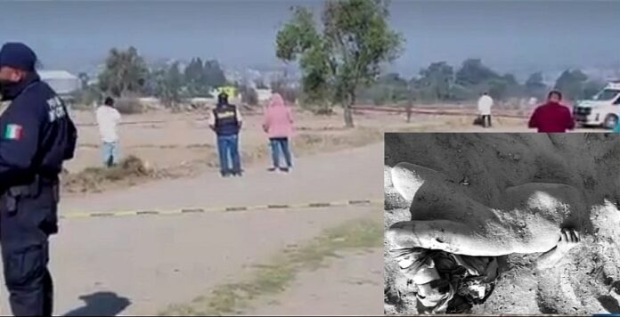 Hallan Cuerpo Semi Enterrado en Teolocholco - AlternativaTlx