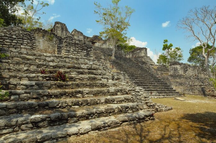 Se Intensificará el Salvamento Arqueológico en los Tramos 6 y 7 del Tren Maya - AlternativaTlx