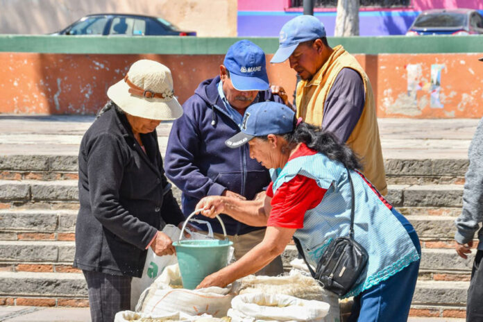 Invita Ayuntamiento de Huamantla a Productores a Participar en el Segundo Tianguis de Semillas - AlternativaTlx