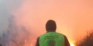 Autoridades Estatales y Federales Combaten Incendio Forestal en la Malinche - AlternativaTlx