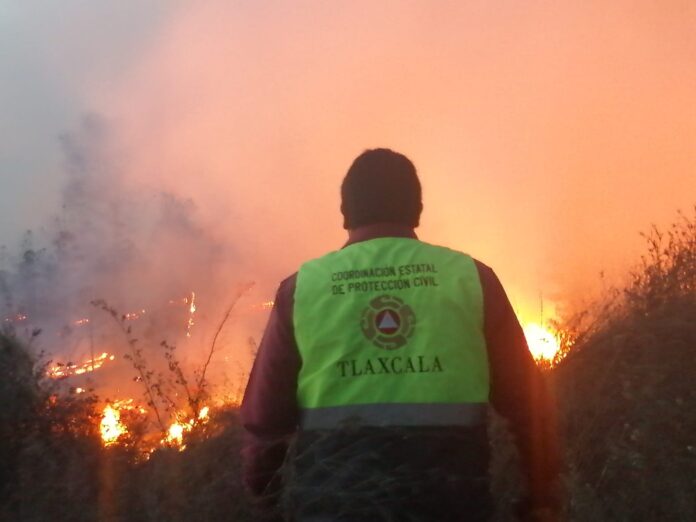 Autoridades Estatales y Federales Combaten Incendio Forestal en la Malinche - AlternativaTlx