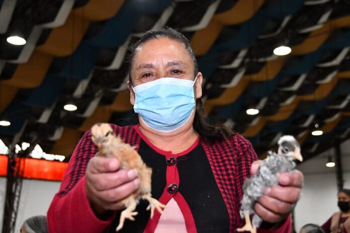 Invita Ayuntamiento de Huamantla y SIA a Adquirir Paquetes de Especies Menores a Bajo Costo - AlternativaTlx