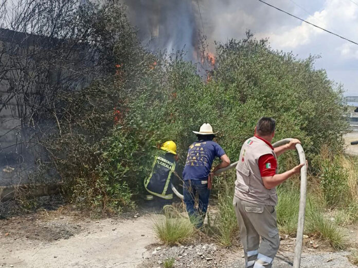 Atiende Protección Civil y Seguridad Pública de Huamantla Incendio en Nuevos Horizontes - AlternativaTlx