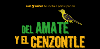 Alas y Raíces Invita a ser parte del “Tercer Encuentro Internacional de Oralidad, Lectura y Escritura: Del Amate y el Cenzontle” - AlternativaTlx