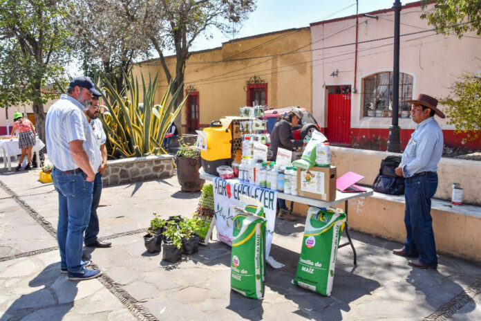 Con el Tianguis de Semilla se Fortalece la Economía de los Productores Locales: Salvador Santos Cedillo - AlternativaTlx