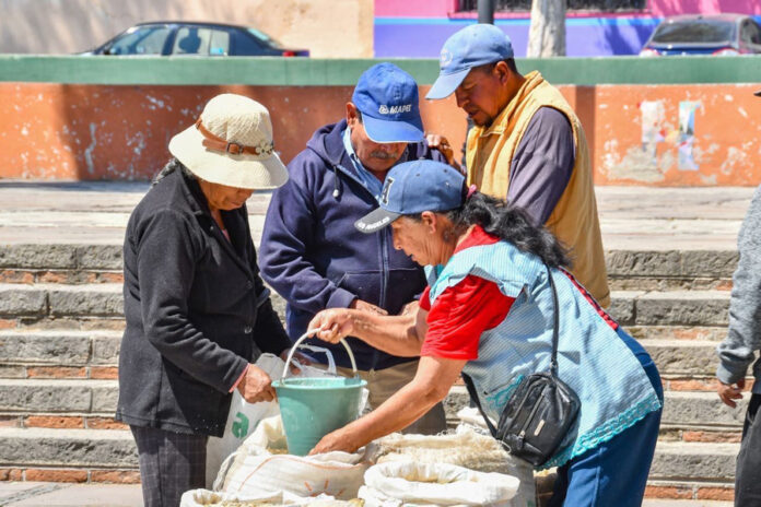 Con el Tianguis de Semilla se Promueve y Apoya la Producción Agrícola Local: Salvador Santos Cedillo - AlternativaTlx