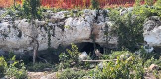 Al Día de Hoy, la Cueva Dama Blanca se Encuentra Intacta, Acordonada y se Evalúan las Medidas para su Protección - AlternativaTlx