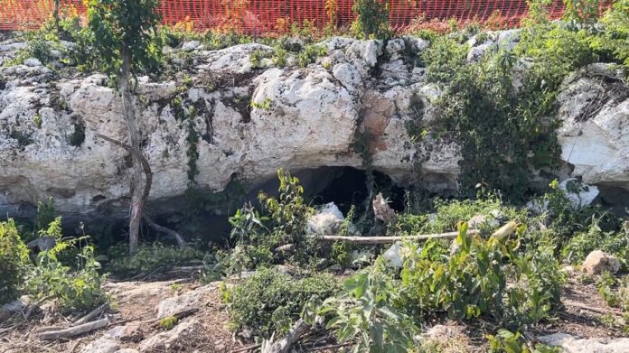 Al Día de Hoy, la Cueva Dama Blanca se Encuentra Intacta, Acordonada y se Evalúan las Medidas para su Protección - AlternativaTlx