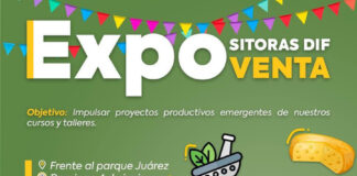 Impulsa SMDIF Huamantla Proyectos Productivos de Mujeres Emprendedoras - AlternativaTlx