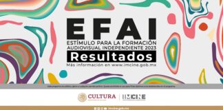 El IMCINE Publica los Resultados de la Tercera Edición el Estímulo para la Formación Audiovisual Independiente - AlternativaTlx