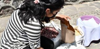 Se Benefician Productores Huamantlecos con el Tianguis de Semilla - AlternativaTlx