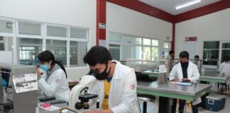 Analizarán en UATx Biología de Escarabajos Descortezadores - AlternativaTlx