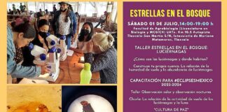 Contribuye UATx a la Conservación de las Luciérnagas - AlternativaTlx